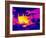 Cooking on a Gas Stove, Thermogram-Tony McConnell-Framed Photographic Print
