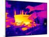 Cooking on a Gas Stove, Thermogram-Tony McConnell-Mounted Photographic Print