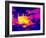 Cooking on a Gas Stove, Thermogram-Tony McConnell-Framed Photographic Print