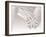 Cool Angelic Demure-Belen Mena-Framed Giclee Print