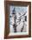 Cool Bamboo I-Katsumi Sugita-Framed Giclee Print