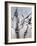 Cool Bamboo I-Katsumi Sugita-Framed Giclee Print