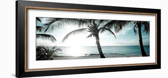 Cool Bimini I-Susan Bryant-Framed Photographic Print