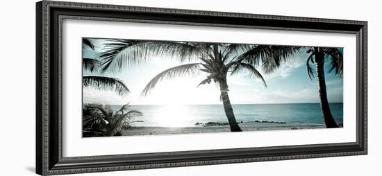 Cool Bimini I-Susan Bryant-Framed Photographic Print