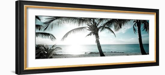 Cool Bimini I-Susan Bryant-Framed Photographic Print