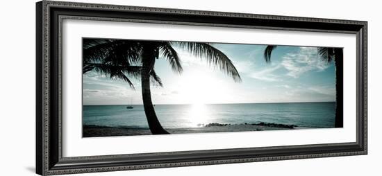 Cool Bimini II-Susan Bryant-Framed Photographic Print