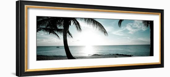 Cool Bimini II-Susan Bryant-Framed Photographic Print