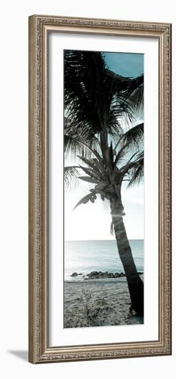 Cool Bimini Palm I-Susan Bryant-Framed Photographic Print