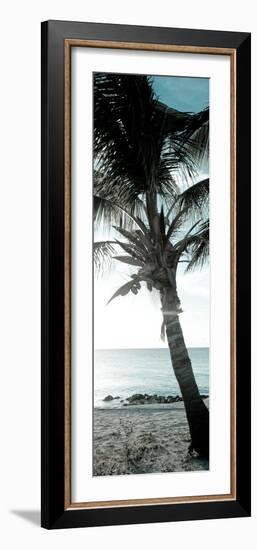 Cool Bimini Palm I-Susan Bryant-Framed Photographic Print
