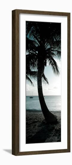 Cool Bimini Palm II-Susan Bryant-Framed Photographic Print