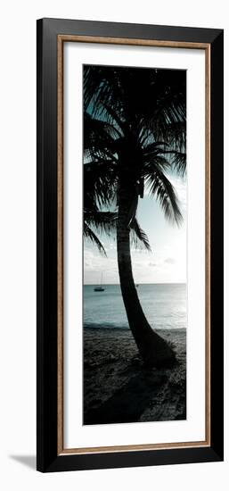 Cool Bimini Palm II-Susan Bryant-Framed Photographic Print