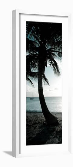 Cool Bimini Palm II-Susan Bryant-Framed Photographic Print