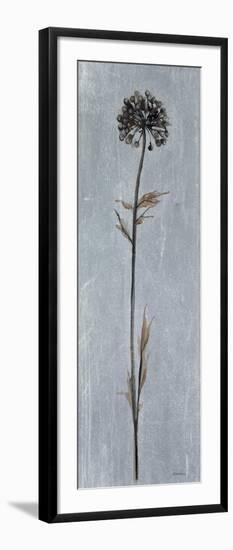 Cool Botanicals I-Liz Jardine-Framed Art Print