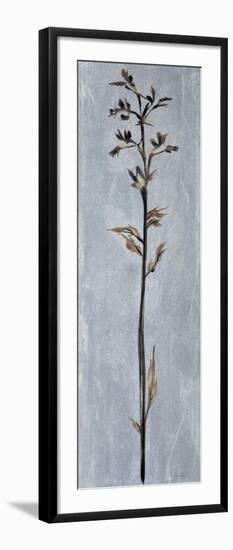 Cool Botanicals III-Liz Jardine-Framed Art Print