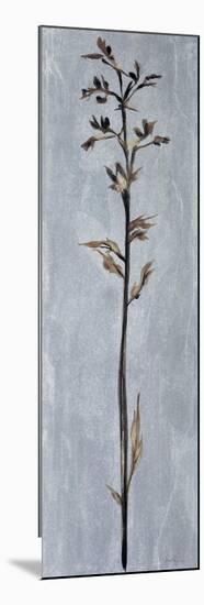 Cool Botanicals III-Liz Jardine-Mounted Art Print