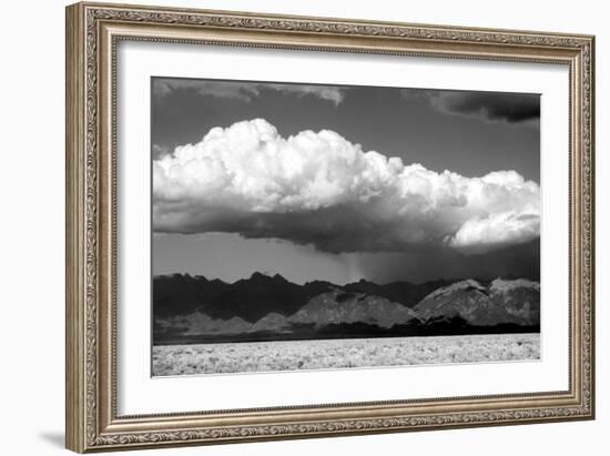 Cool Colorado Rain BW-Douglas Taylor-Framed Photographic Print