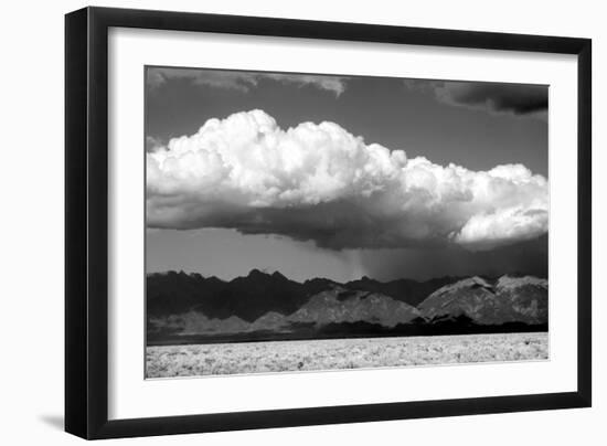 Cool Colorado Rain BW-Douglas Taylor-Framed Photographic Print