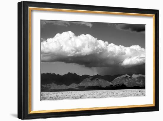 Cool Colorado Rain BW-Douglas Taylor-Framed Photographic Print