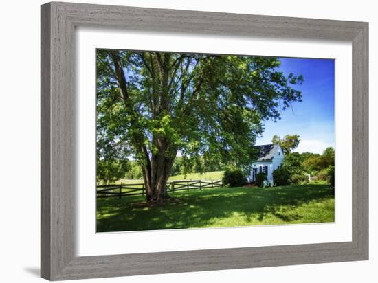 Cool Green and Shady-Alan Hausenflock-Framed Photographic Print