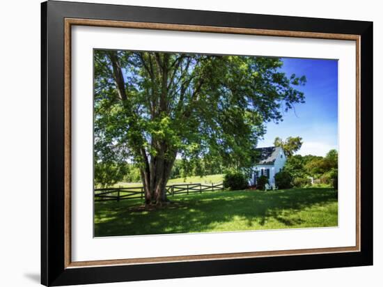 Cool Green and Shady-Alan Hausenflock-Framed Photographic Print