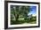 Cool Green and Shady-Alan Hausenflock-Framed Photographic Print