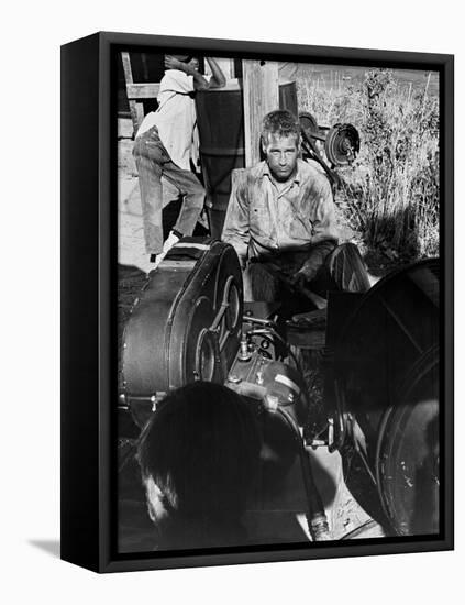 Cool Hand Luke, 1967-null-Framed Premier Image Canvas