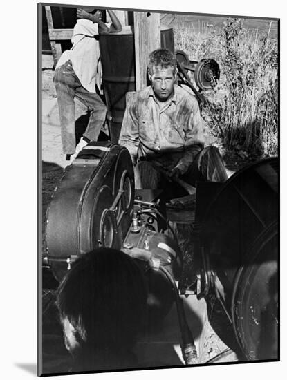 Cool Hand Luke, 1967-null-Mounted Photographic Print