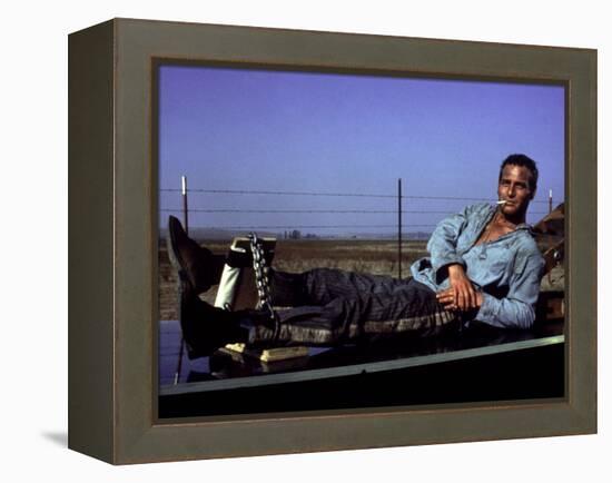 Cool Hand Luke, Paul Newman, 1967, Leg Irons-null-Framed Stretched Canvas