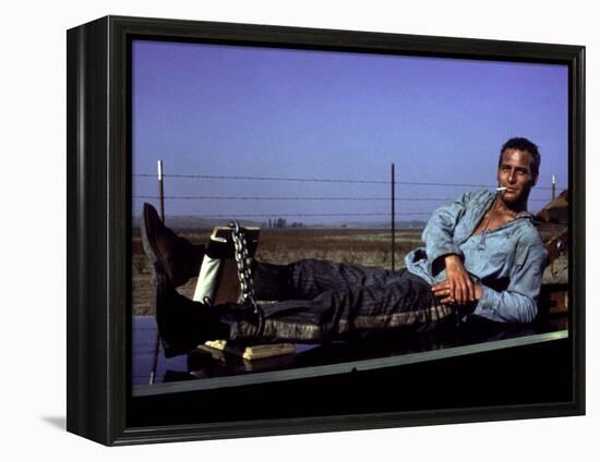 Cool Hand Luke, Paul Newman, 1967, Leg Irons-null-Framed Stretched Canvas