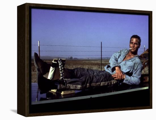 Cool Hand Luke, Paul Newman, 1967, Leg Irons-null-Framed Stretched Canvas