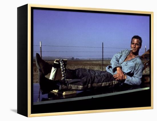 Cool Hand Luke, Paul Newman, 1967, Leg Irons-null-Framed Stretched Canvas