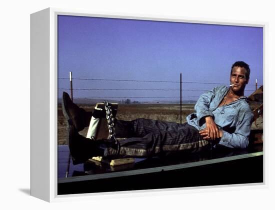 Cool Hand Luke, Paul Newman, 1967, Leg Irons-null-Framed Stretched Canvas