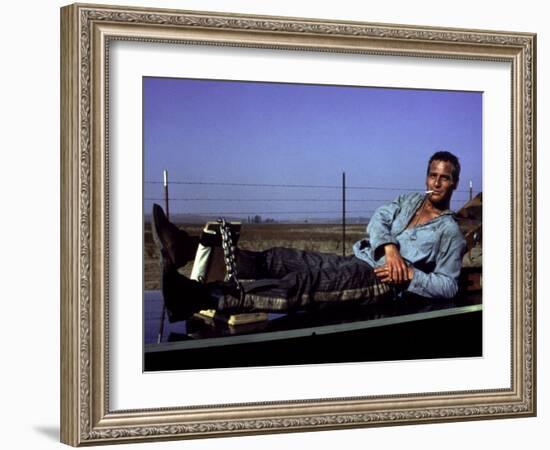 Cool Hand Luke, Paul Newman, 1967, Leg Irons-null-Framed Photo