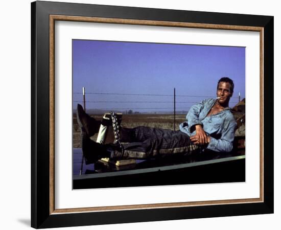 Cool Hand Luke, Paul Newman, 1967, Leg Irons-null-Framed Photo