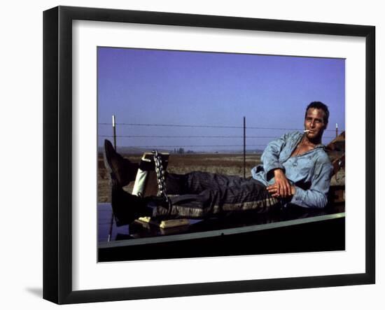 Cool Hand Luke, Paul Newman, 1967, Leg Irons-null-Framed Photo