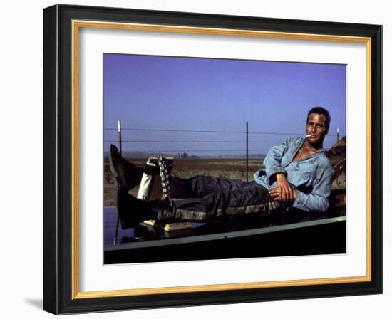 Cool Hand Luke, Paul Newman, 1967, Leg Irons-null-Framed Photo