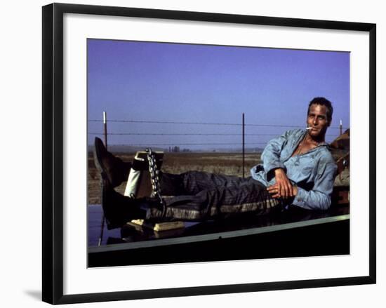 Cool Hand Luke, Paul Newman, 1967, Leg Irons-null-Framed Photo