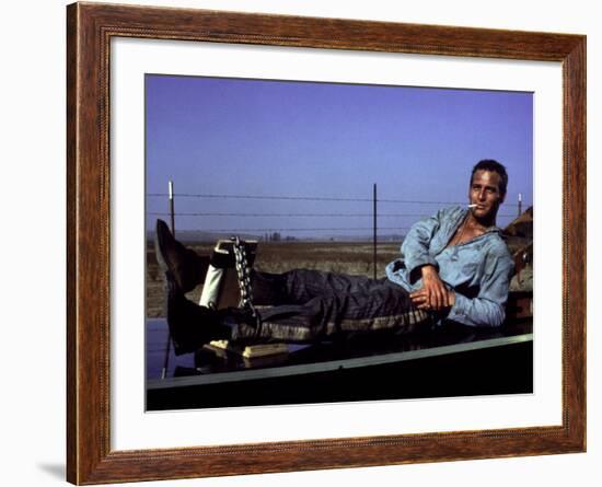 Cool Hand Luke, Paul Newman, 1967, Leg Irons-null-Framed Photo