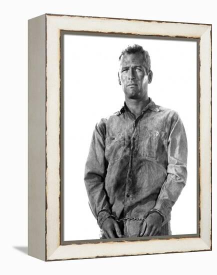 Cool Hand Luke, Paul Newman, 1967-null-Framed Stretched Canvas