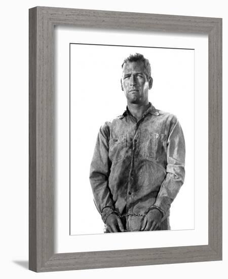 Cool Hand Luke, Paul Newman, 1967-null-Framed Photo