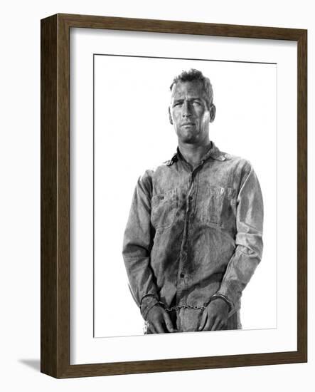 Cool Hand Luke, Paul Newman, 1967-null-Framed Photo