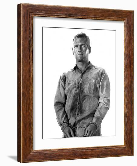 Cool Hand Luke, Paul Newman, 1967-null-Framed Photo