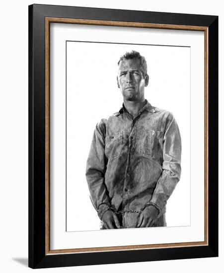 Cool Hand Luke, Paul Newman, 1967-null-Framed Photo