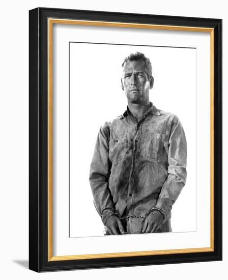 Cool Hand Luke, Paul Newman, 1967-null-Framed Photo