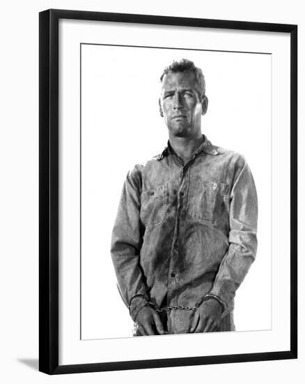 Cool Hand Luke, Paul Newman, 1967-null-Framed Photo