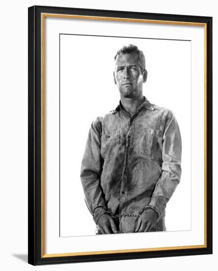 Cool Hand Luke, Paul Newman, 1967-null-Framed Photo