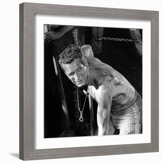 Cool Hand Luke, Paul Newman , 1967-null-Framed Photo