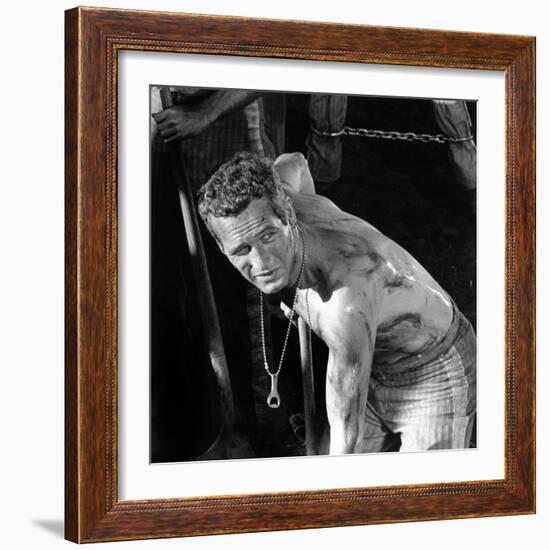 Cool Hand Luke, Paul Newman , 1967-null-Framed Photo