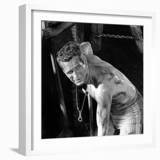 Cool Hand Luke, Paul Newman , 1967-null-Framed Photo