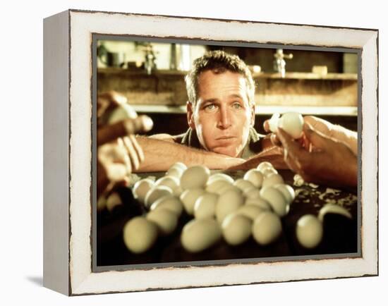 Cool Hand Luke, Paul Newman, 1967-null-Framed Stretched Canvas